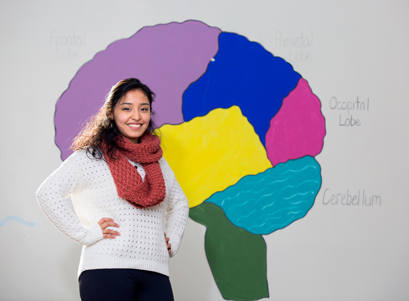 Maritza Angeles-Gonzalez '19