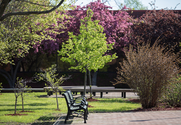 Spring Campus Photo