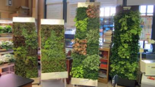 Vertical Garden Image Vertical Garden Image