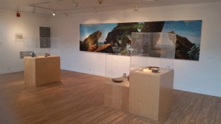 Hosmer Alumni Exhibition Picture Hosmer Alumni Exhibition Picture
