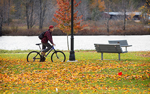 Ives Park