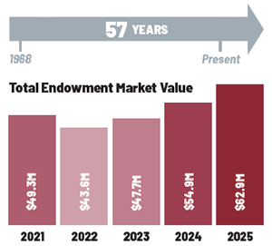 Endowment Market Value Graphic