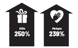 Donor Impact Graphic