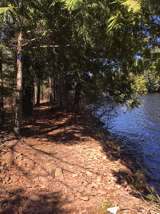 Sandstone Trail
