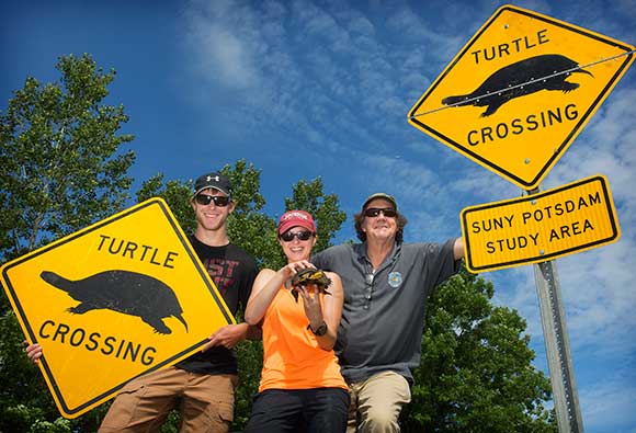 From left, SUNY Potsdam senior Gyle Dominy '18, alumna Jennifer Flickinger '17 and Professor Glenn Johnson pose with turtle crossing signs and a threatened Blanding’s turtle on Swamp Rd. in Lisbon.