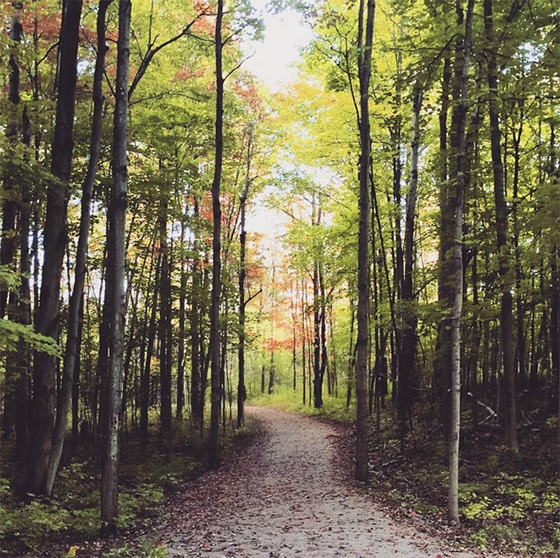 Clarkson Trail