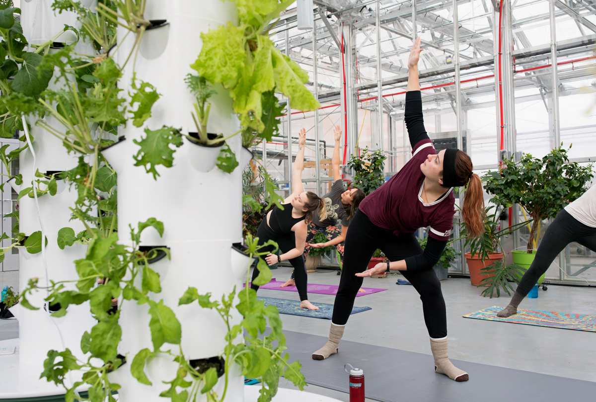 Yoga in the Greenhouse SUNY Potsdam