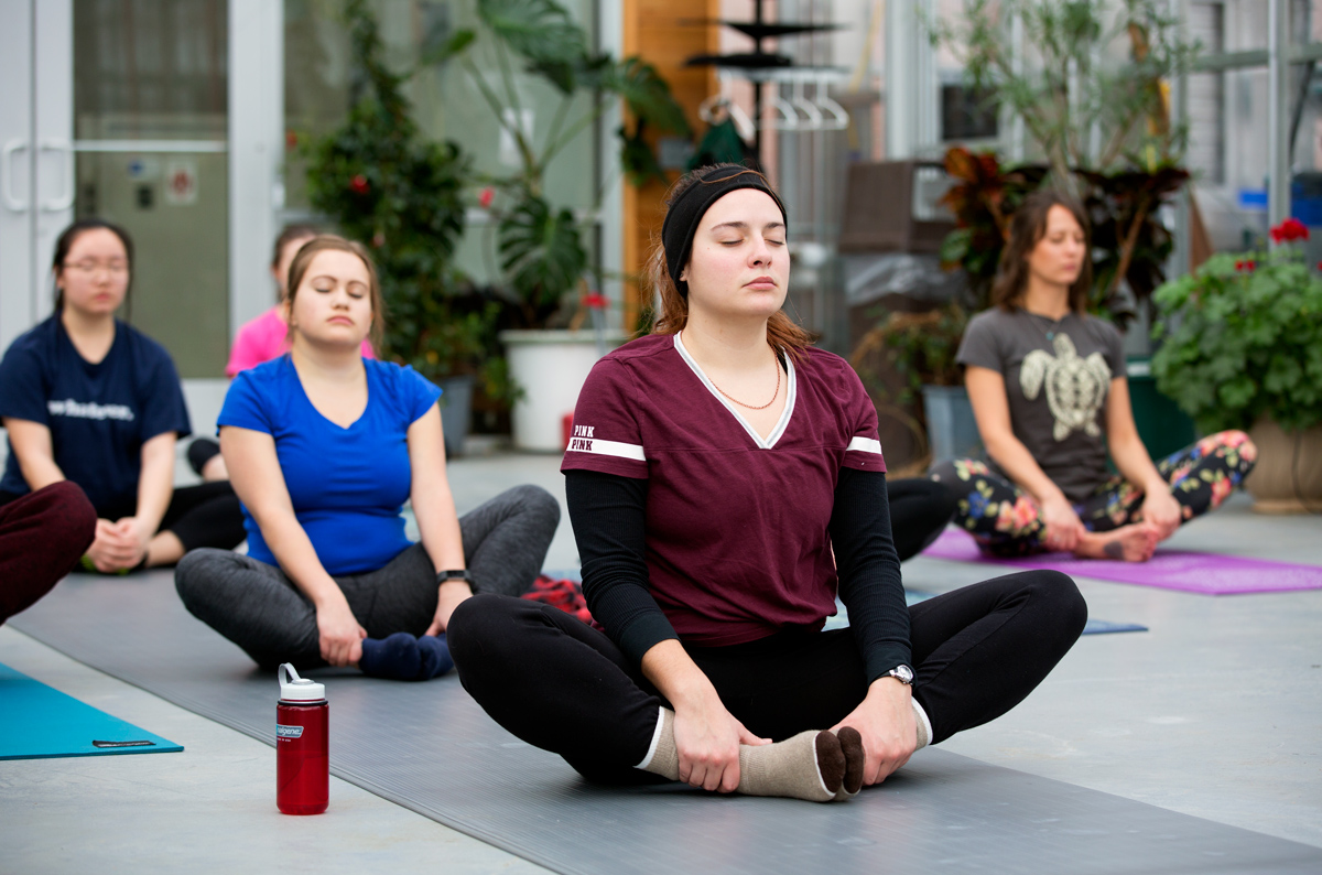 Yoga in the Greenhouse SUNY Potsdam