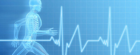 Exercise Science SUNY Potsdam