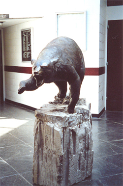 SUNY Potsdam Bear