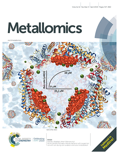 Research by SUNY Potsdam Professor Dr. Fadi Bou-Abdallah was recently featured as the cover story in the journal Metallomics.