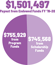 Endowed Funds Payout Pie Graph