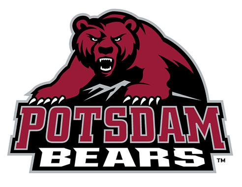 Bears Logo