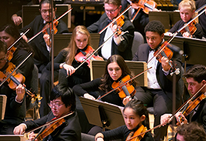 Crane Candlelight Concert Image