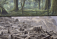 Environmental Impact Art Image 2016
