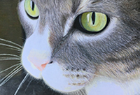 St. Lawrence County Art Exhibit Image