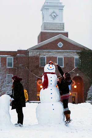 Snowman Image