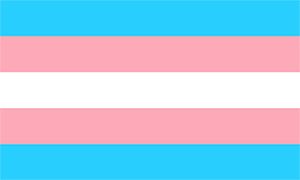 Transgender Flag Image