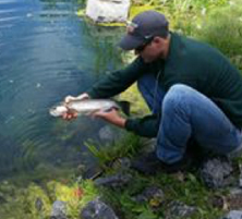 Joseph Sicherman Photo Joseph Sicherman Photo